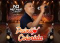 NETINHO DANTAS – Paixão Colorida