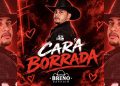 BRENO SAFADIM – Cara Borrada